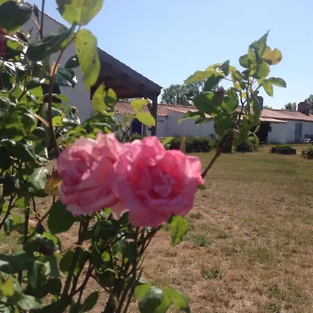 Ferme L'ile Sauvage Bouin (Vendee)