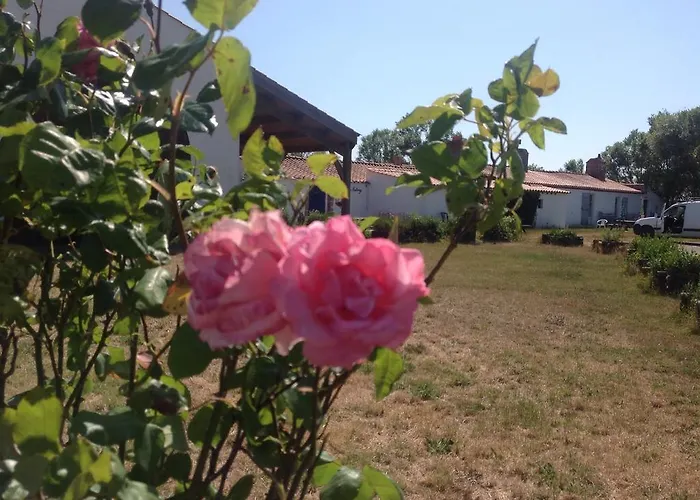 Ferme L'ile Sauvage Bouin (Vendee)